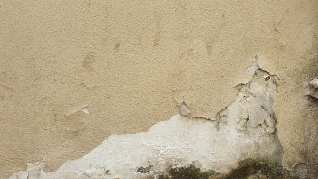 Before — Rising damp and salts in a ground-floor apartment, Coastal urbanisations, Guardamar del Segura