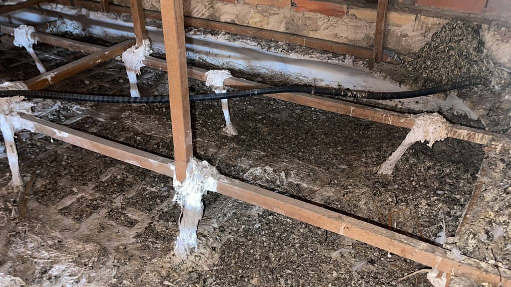 Palomas bajo la cubierta: limpieza, desinfección y cierre de accesos