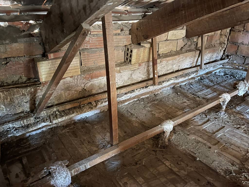 Cámara bajo cubierta con pares de madera, muro de ladrillo con juntas abiertas y el forjado cubierto de guano seco